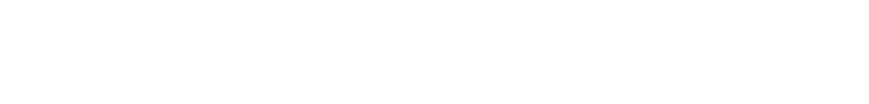 EL PORFIRIO